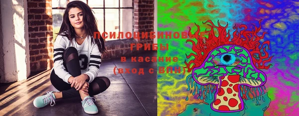 прущая мука Пересвет