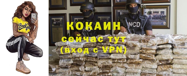 прущая мука Пересвет