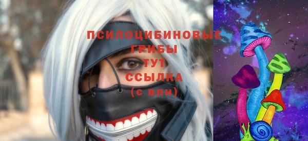 apvp Шимановск