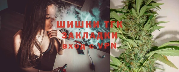 прущая мука Пересвет