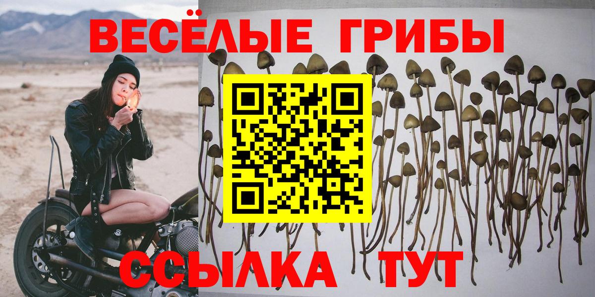 Псилоцибиновые грибы мицелий  Аргун  Псилоцибиновые грибы Magic Shrooms 