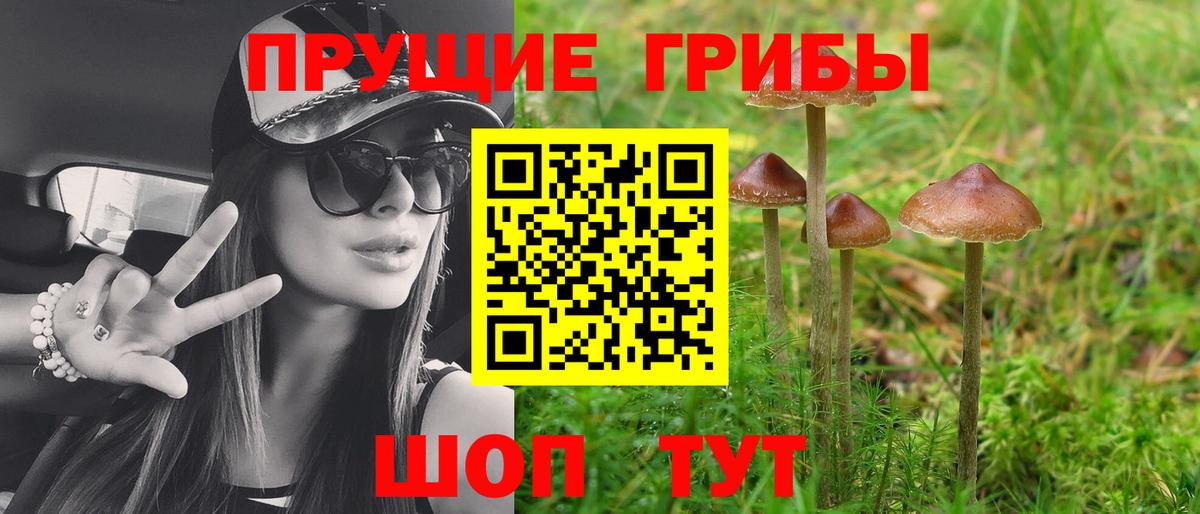 Псилоцибиновые грибы MAGIC MUSHROOMS Аргун
